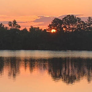 Meet your Posher, Bridgett